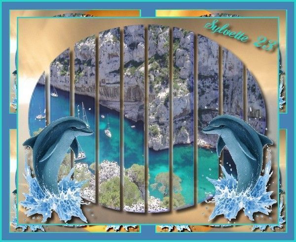 Les dauphins