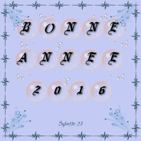 Bonne Année 2016